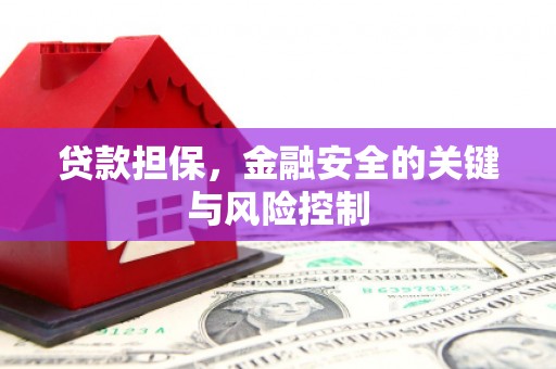 弋阳贷款担保，金融安全的关键与风险控制
