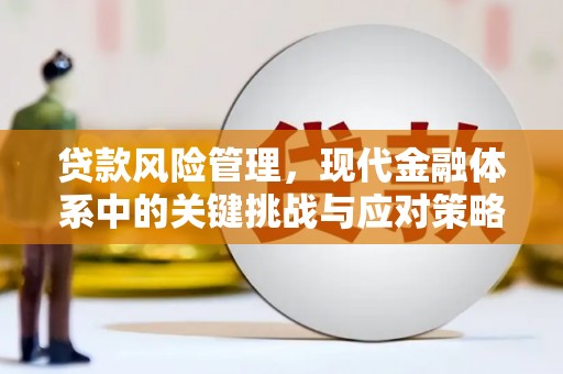 弋阳贷款风险管理，现代金融体系中的关键挑战与应对策略