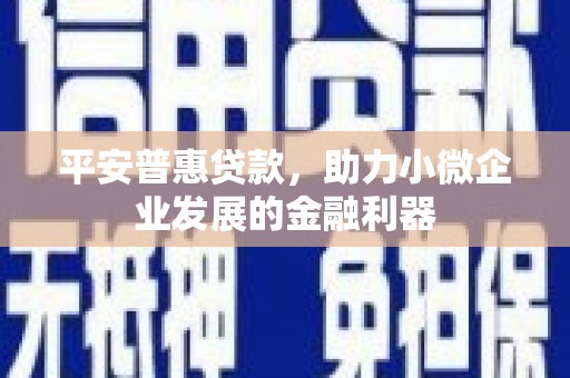 弋阳平安普惠贷款，助力小微企业发展的金融利器