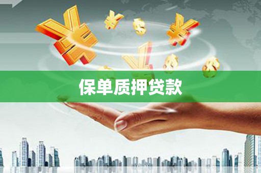 弋阳保单质押贷款