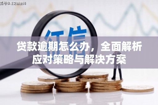 弋阳贷款逾期怎么办，全面解析应对策略与解决方案