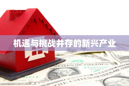弋阳机遇与挑战并存的新兴产业