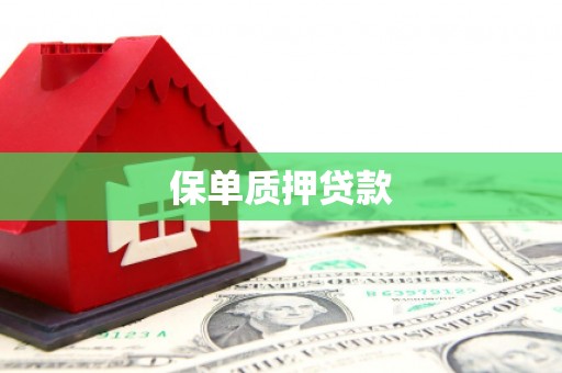 弋阳保单质押贷款