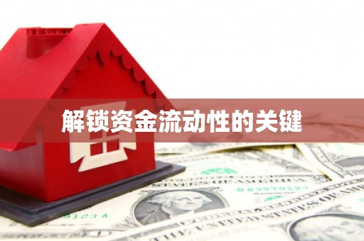 弋阳解锁资金流动性的关键