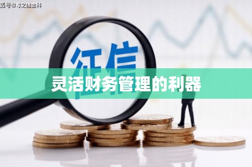 弋阳灵活财务管理的利器