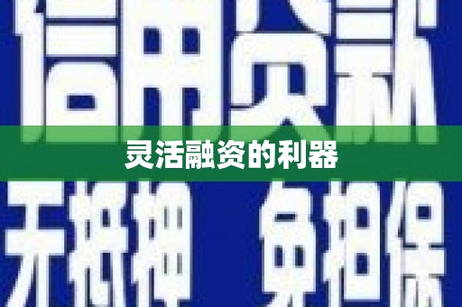 弋阳灵活融资的利器