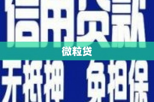 弋阳微粒贷