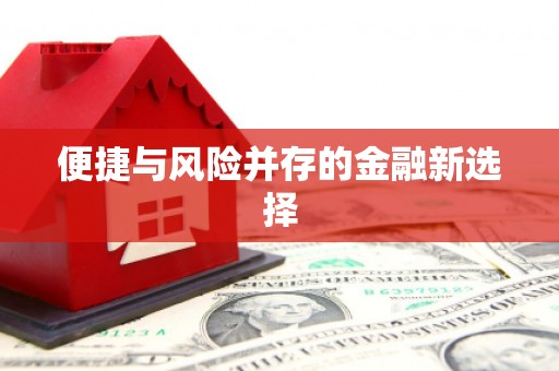 弋阳便捷与风险并存的金融新选择