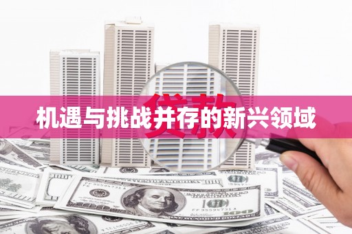 弋阳机遇与挑战并存的新兴领域