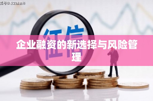 弋阳企业融资的新选择与风险管理