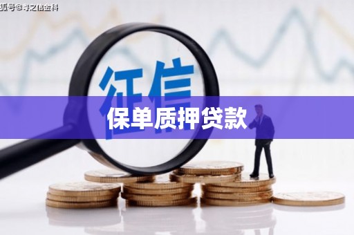 弋阳保单质押贷款