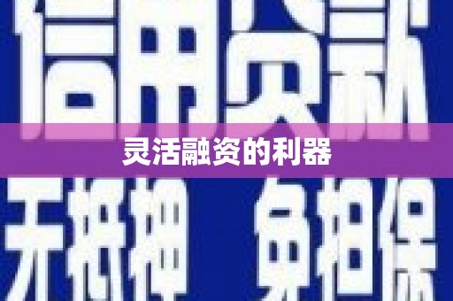 弋阳灵活融资的利器