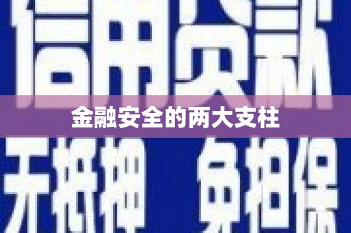 弋阳金融安全的两大支柱